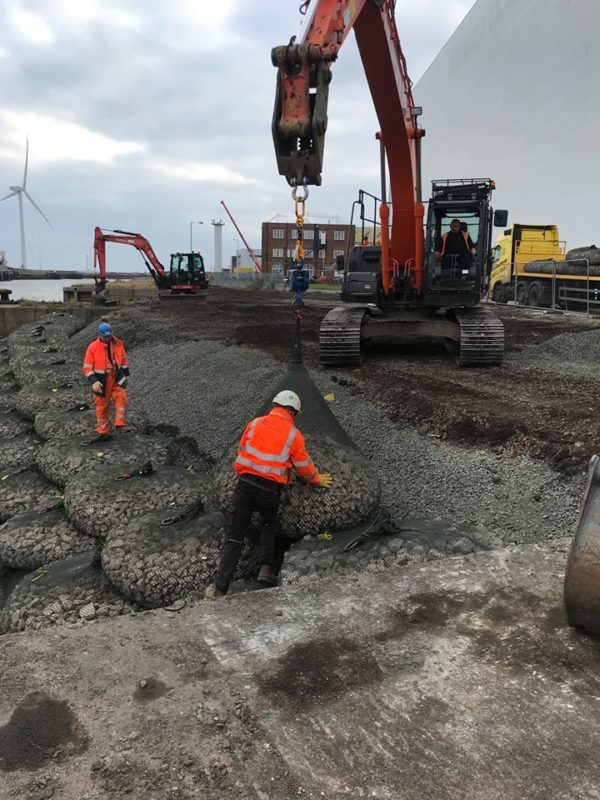 riverbank revetment regeneration