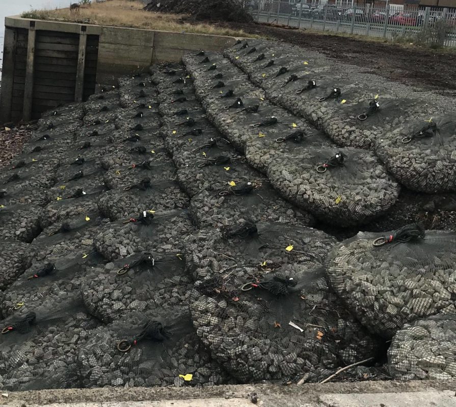 riverbank revetment regeneration