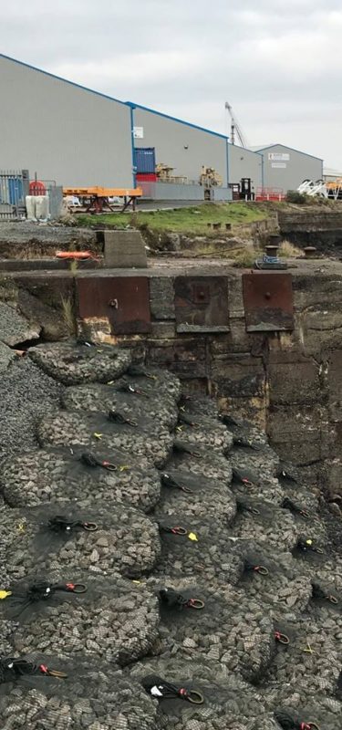 riverbank revetment regeneration