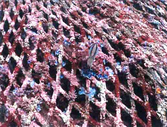 Rockbags Aquaculture
